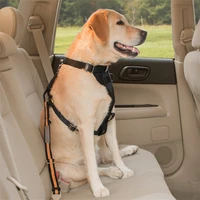 universal car seat belt for pets adjustable length dog safety belt carabiner clip compatible with any pet harness