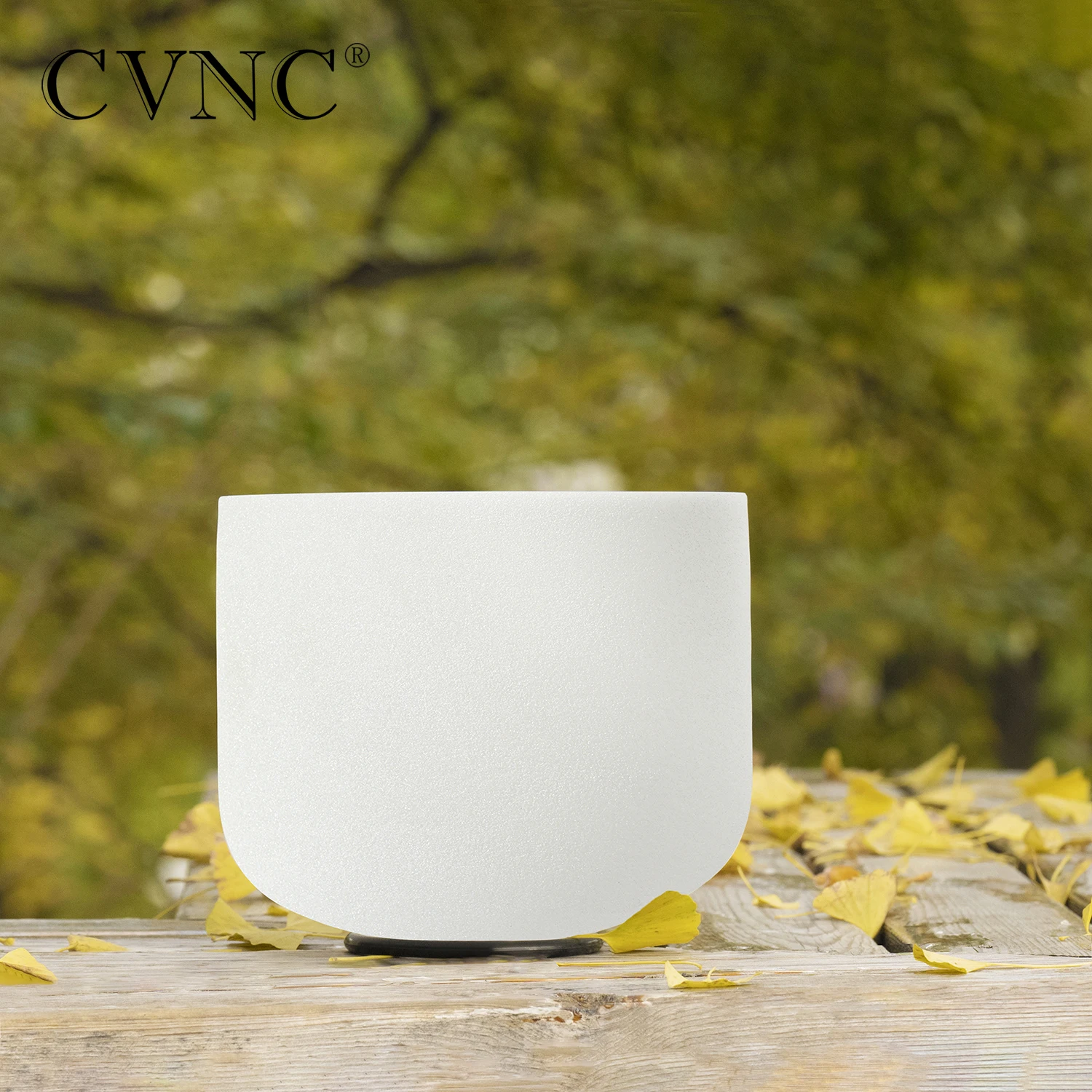CVNC Crystal Singing Bowl Frosted Quartz Chakra 8 inch C D E F G A B Note for Meditation Sound Healing free Mallet and O-ring