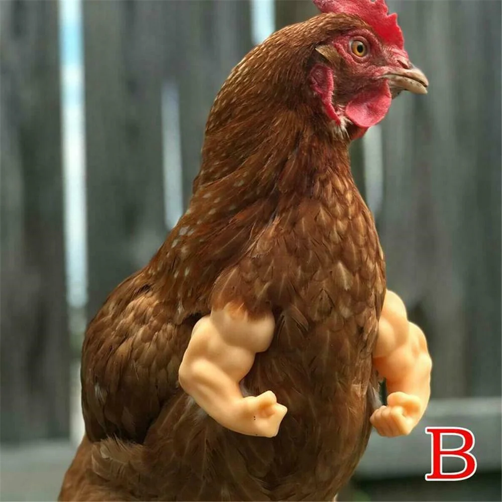 

Muscle Chicken Arms Gag Gift Chicken Arms for Chicken to wear Muscle Arms Pet Chicken Decor Themed Party For Farm Animal Supplie
