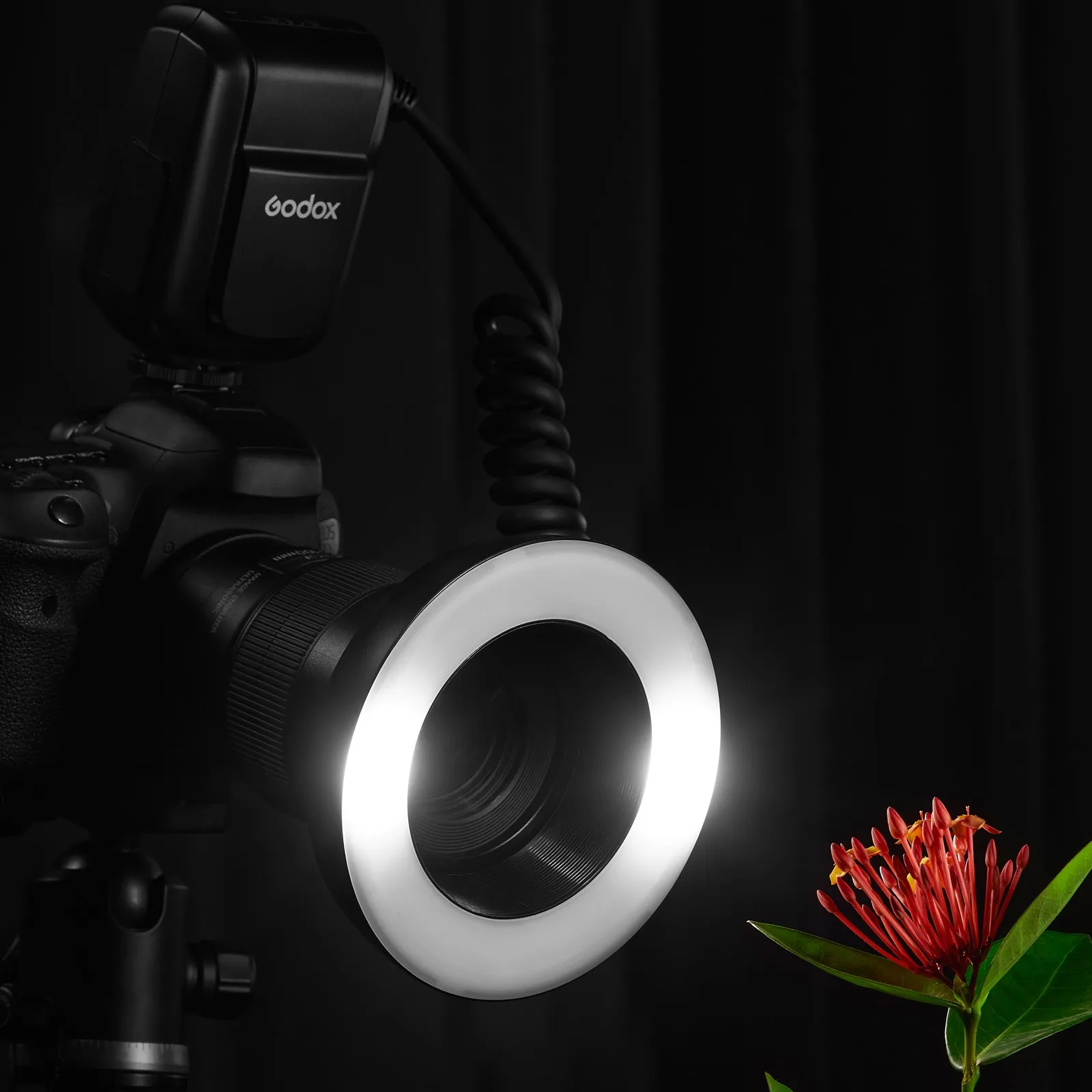 Фото Godox MF-R76 RING76 5000K Макро светодиодный кольцевой светильник Speedlite для Sony Canon Nikon Camera 5D 6D 7D 60D 70D 80D D850 A7MIV №2