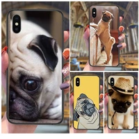 kaufen for galaxy a3 a5 a7 a01 a03s a10 a10e a10s a11 a750 a6 a7 a8 core plus 2018 star pug dog black cell cover luxury
