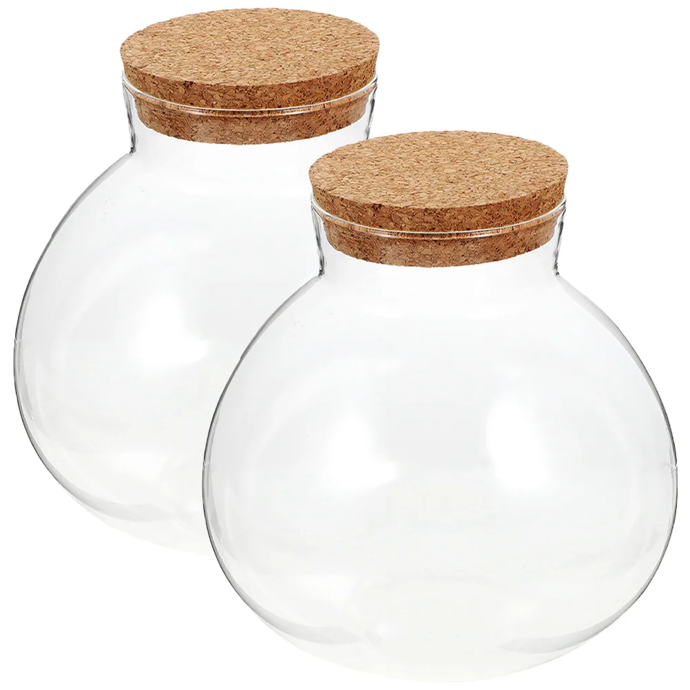 

Bottle Terrarium Jar Bottles Canister Empty Jars Clear Landscape Ecological Decorative Vase Succulent Micro Potion Cork Sugar