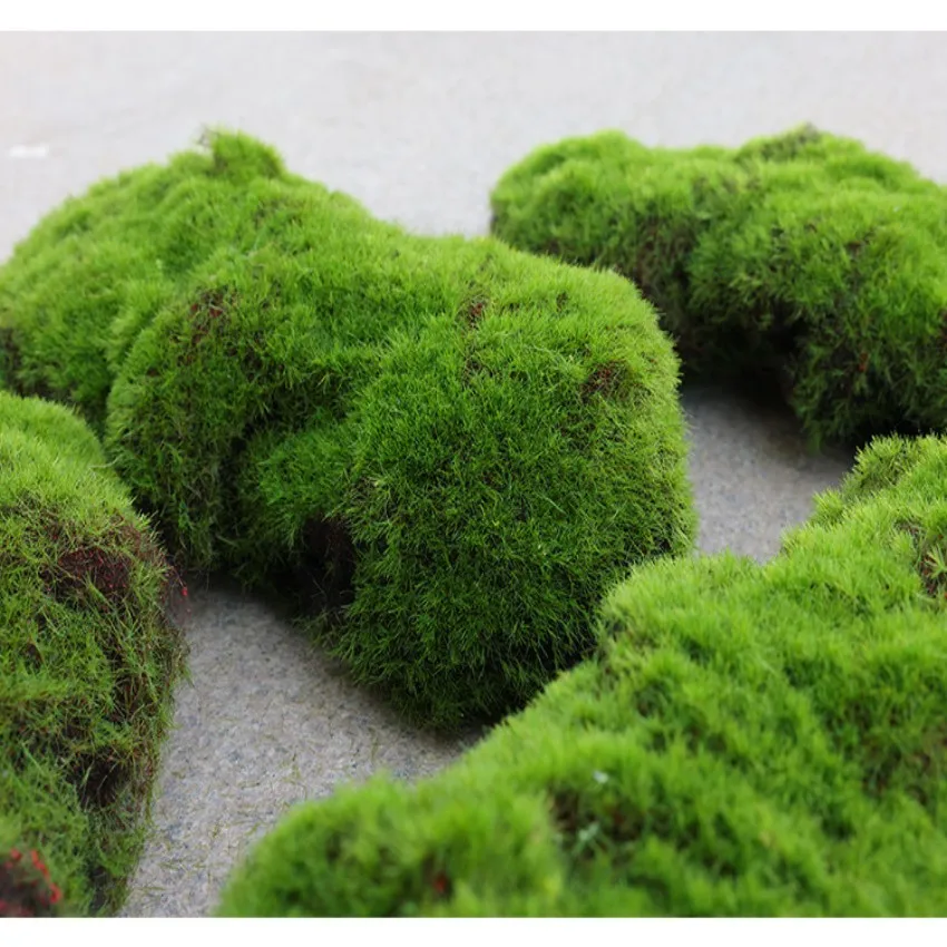 

Real looking Fake Moss block Landscape Rockery Turf Lawn Artificial plants for decoration Home garden wall decor
