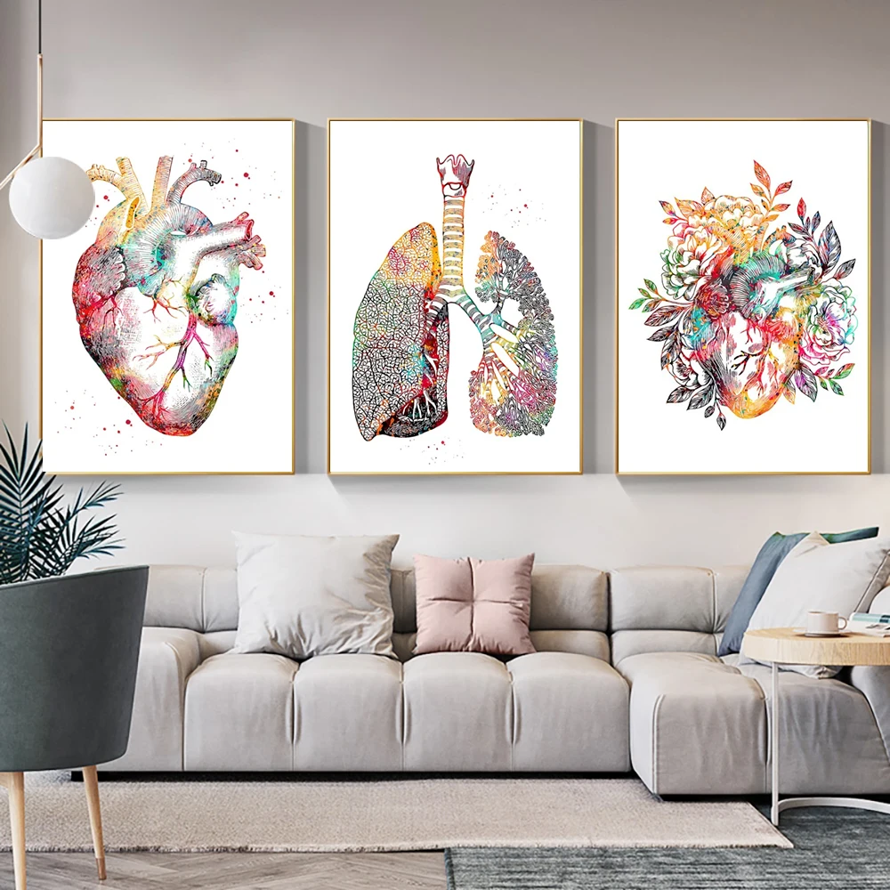 

Colorful Human Anatomy Muscle System Teeth Canvas Medical Wall Education Picture Creative Decoration Accessories