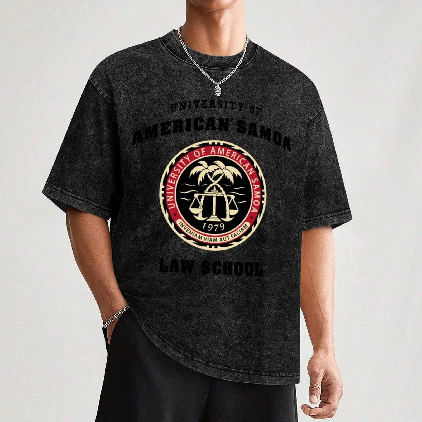 Фото Футболка BCS - University of American Samoa Law School, мягкая хлопковая футболка из хлопка, устойчивого к усадке. №3