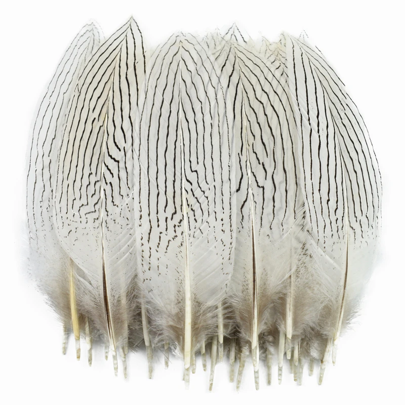 

100Pcs/Lot Wholesale Natural Silver Pheasant Feathers for Crafts Dream Catcher Plumes White Feather Decor Jewelry Handicrafts