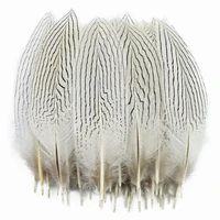 100pcslot wholesale natural silver pheasant feathers for crafts dream catcher plumes white feather decor jewelry handicrafts