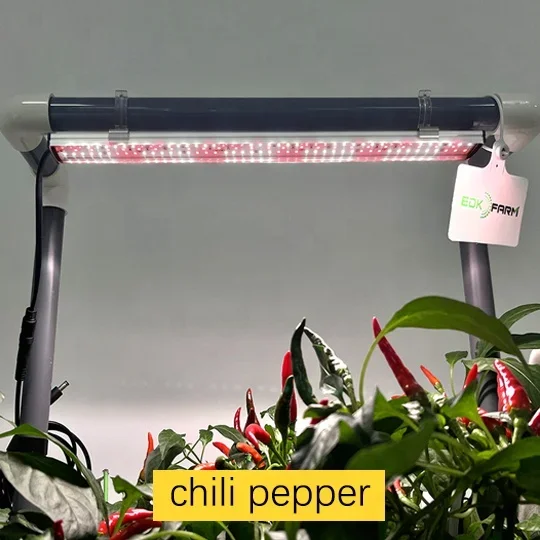 Вертикальные микрозелени для садоводства в помещении овощи фрукты