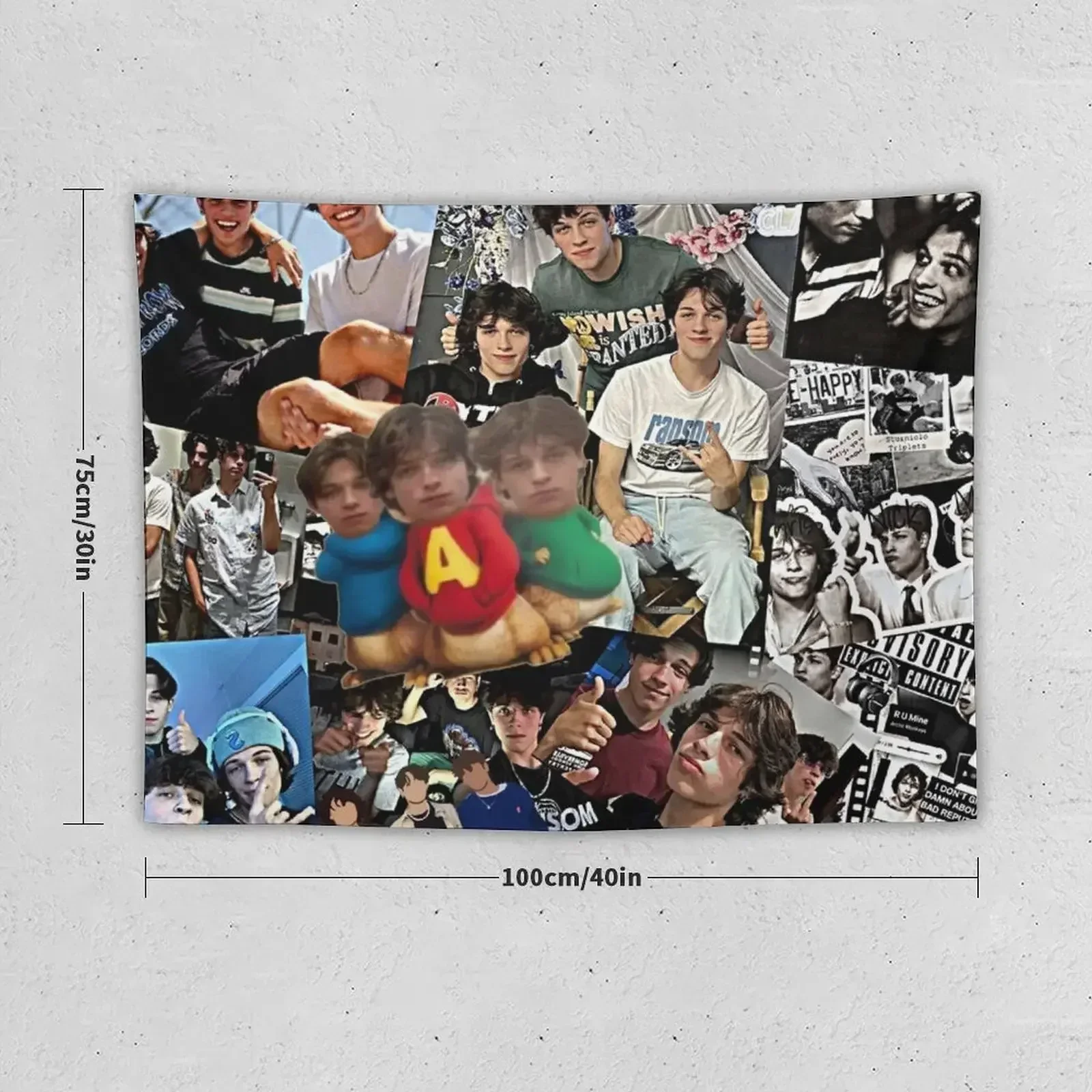 Гобелен Sturniolo Triples