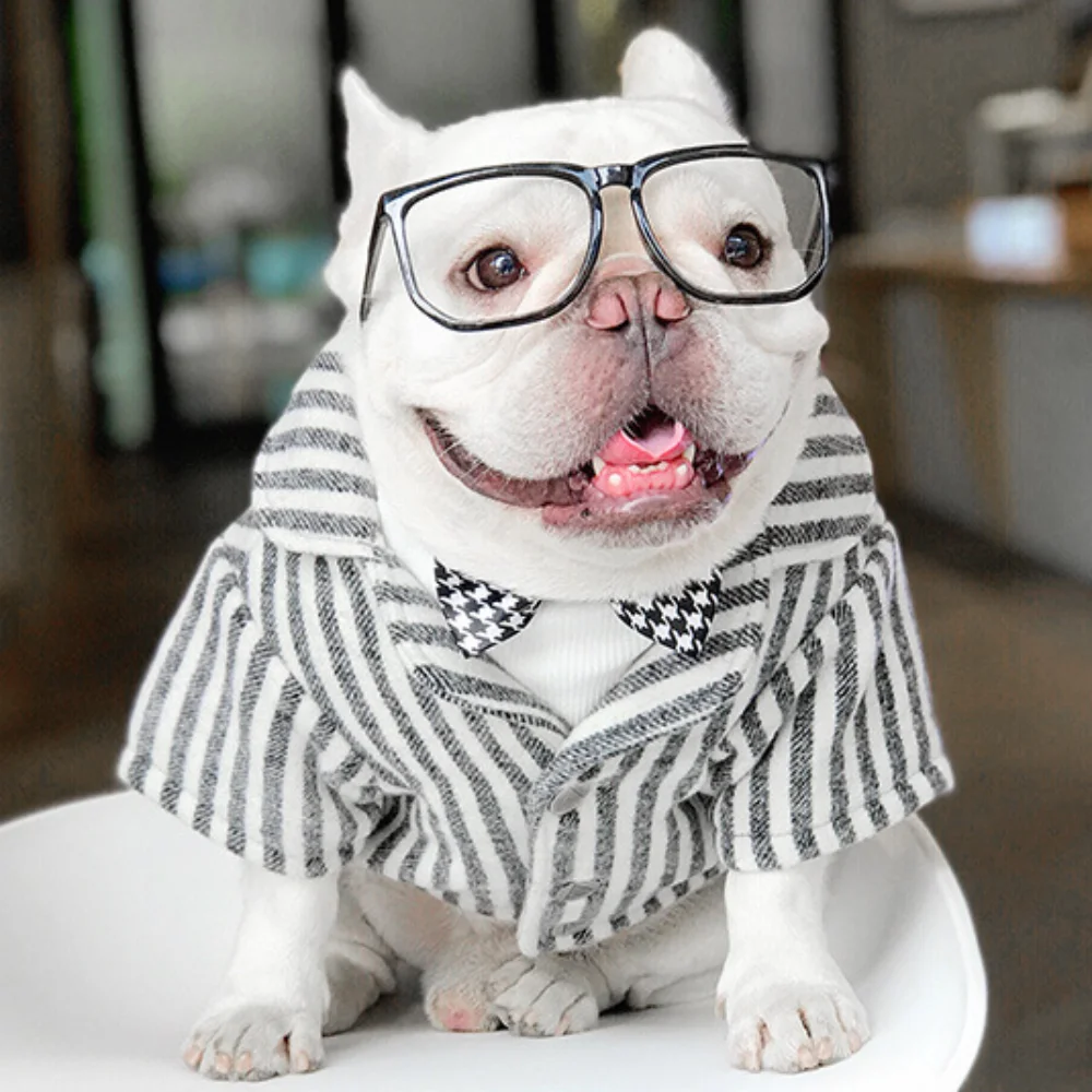 

Pet Dog Suit Winter Warm Woolen Fabric Clothes Jarre Aero Bull Pug Bichon Teddy