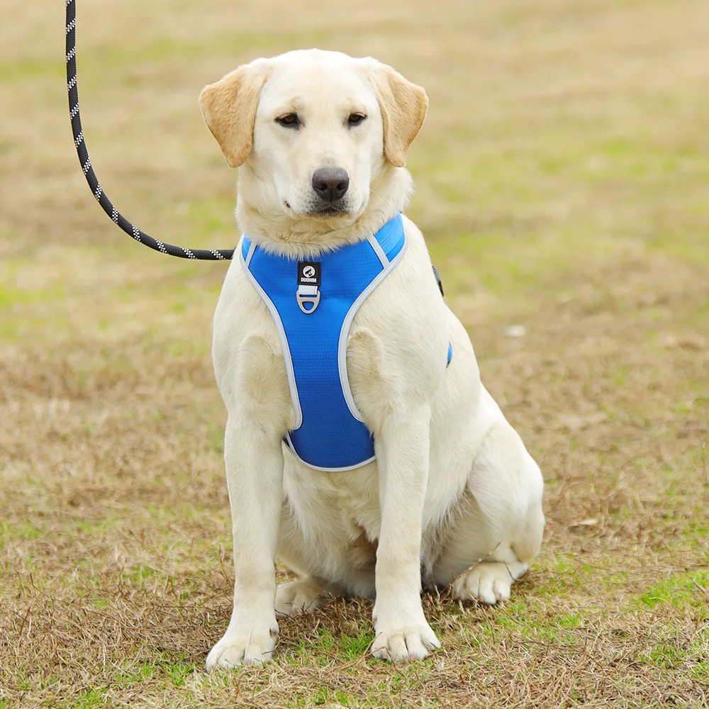 

Hot Pet Supplies Small and Medium-sized Dogs Reflective Safety Anti-breakaway Vest-style Puppy Chest Harness Leash Cat