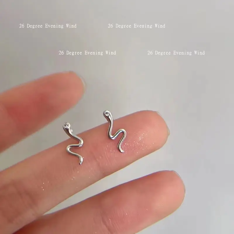 

2022 New Fashion Cute Smell Snake Earring for Woman Minimalism S Shape Snake Stud Earrings Wedding Jewelry Wholesale Gift