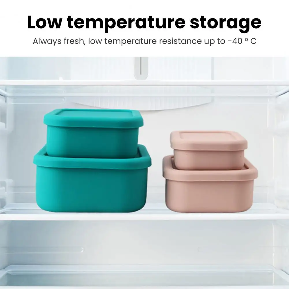 

Long Lasting Bento Container Lightweight Bento Box Temperature Resistant Picnic Fruit Lunch Container Storage