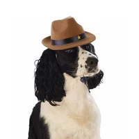 pet creative new cowboy hat dog pentagram cool cowboy hat headgear casual cute puppy with hat dog accessories for small dogs