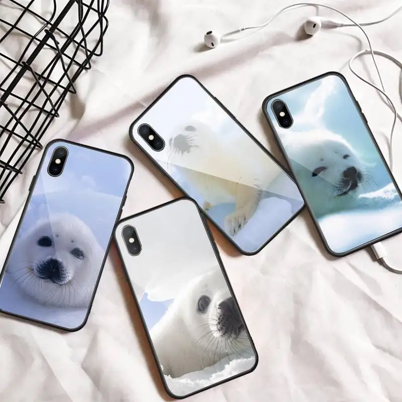

Baby Harp Seal Sea Lion cute animal Phone Case Tempered glass For iphone 11 12 13 PRO MAX mini 6 7 8 plus X XS XR