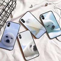baby harp seal sea lion cute animal phone case tempered glass for iphone 11 12 13 pro max mini 6 7 8 plus x xs xr