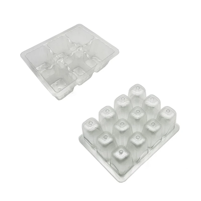 

Transparent Seedling Pot 5 pcs Plant Growing Resistant Material Children Adults