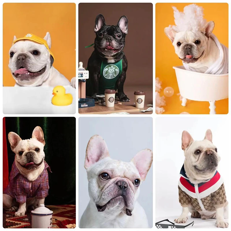 

5D Diy Diamond Painting Barista French Bulldog Cross Stitch Animal Black White Dog Diamond Mosaic Embroidery Home Decor Gifts