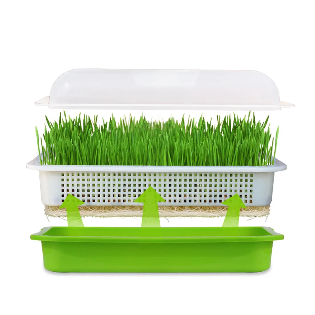 Soil Free Sprouter Tray Lid Plastic Pallet Wheatgrass Grower Starter Go Containers Sprouting Kit Trays Nursing