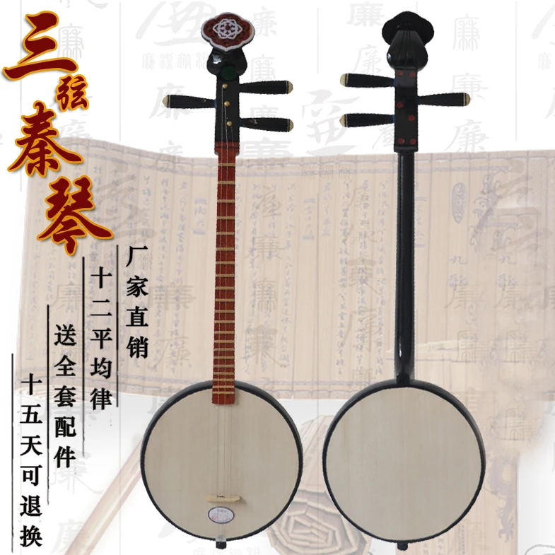 Фото Qinqin sanxian фотографический инструмент с китайской струной №2