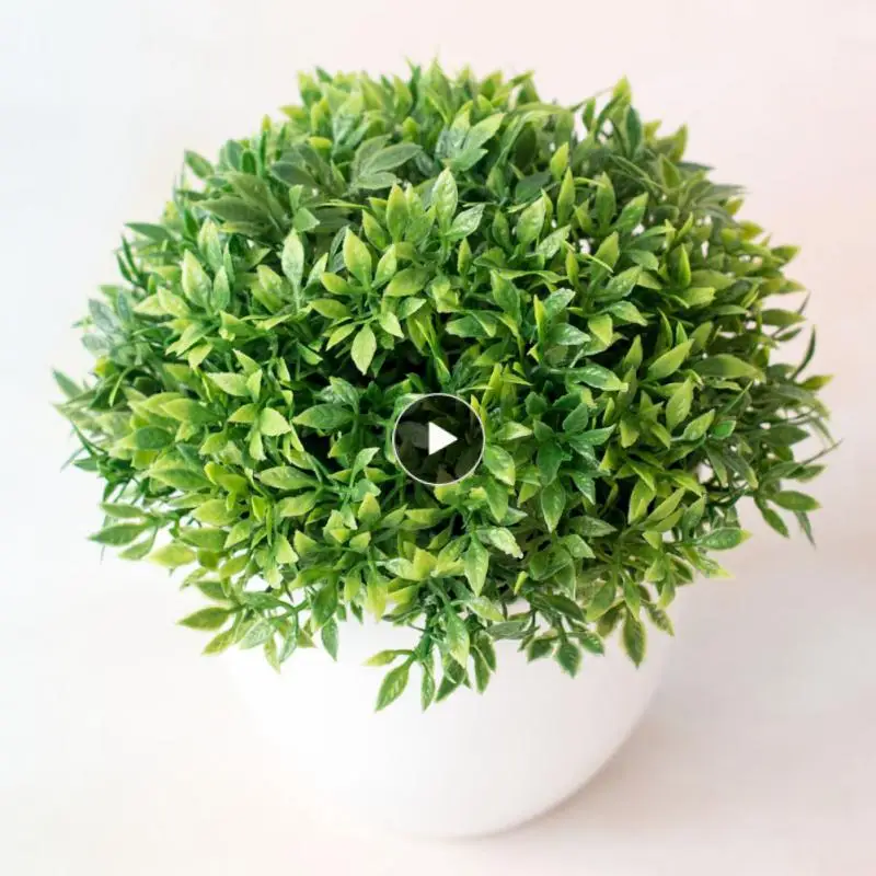 

Beauty Of Nature Desk Plant Unique Choice Of Gifts Fake Plant Artificial Suitable For Windowsill Fake Plant Decor