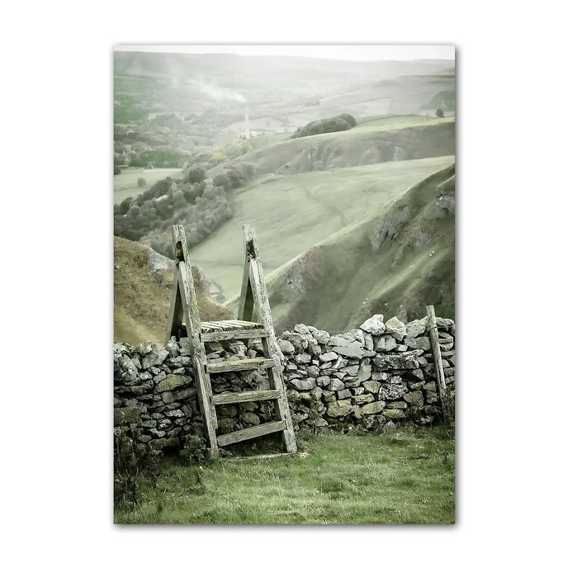 

Картина OYFFL "Белый цветок, Одуванчик, Зеленая гора"