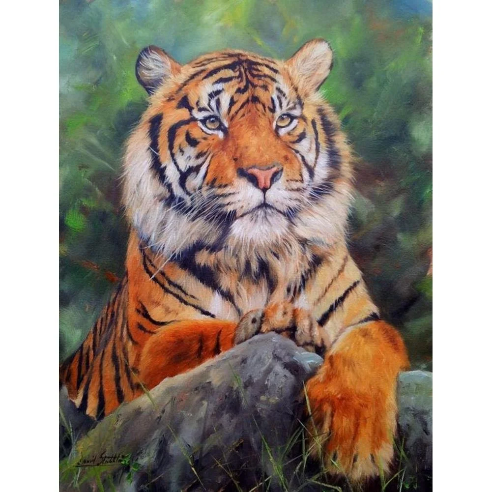 

5D-Diamond-Painting-Parrot-Tiger-Diamond-Mosaic-Animal-Bird-Rhinestone-Embroidery-Full-Round-Diamond-Cross-Stitch