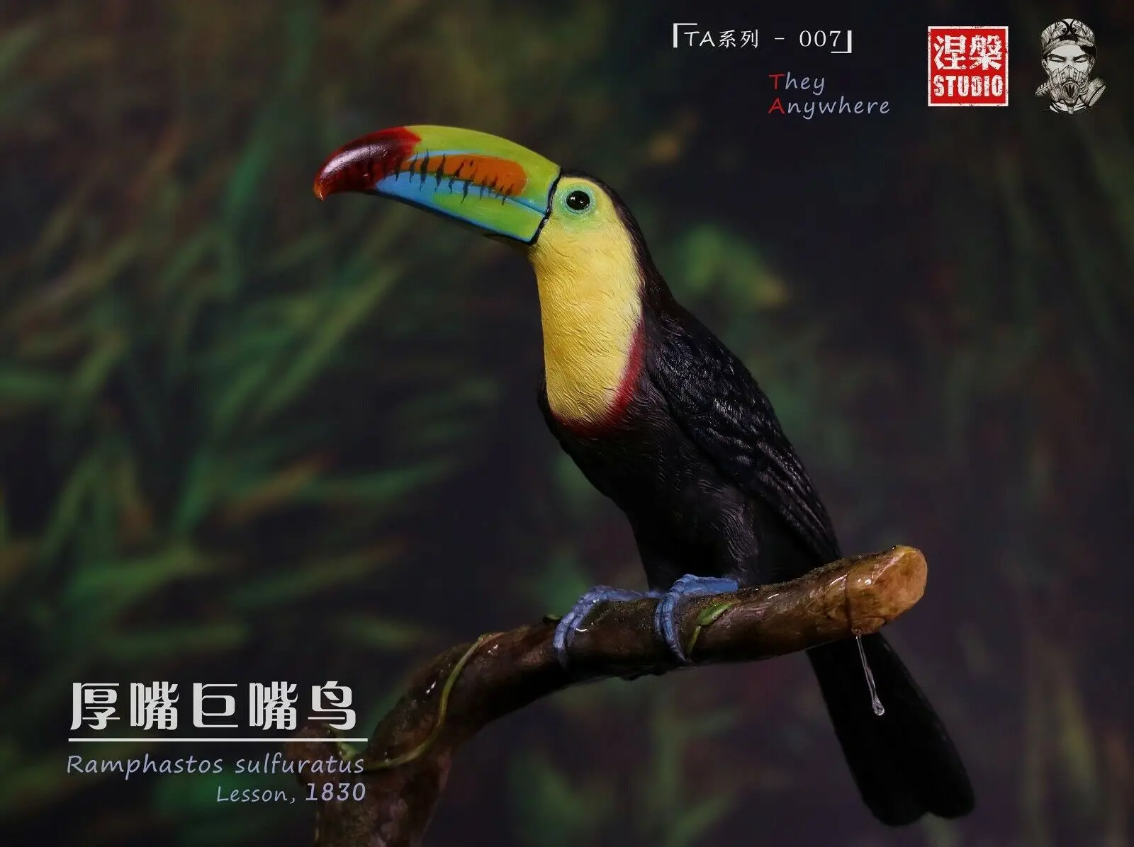 

Ramphastos sulfuratus статуя Kell-bфлэш Тукан Ainbow-флэш птица МОДЕЛЬ коллекционера украшение TA серия 007 окрашенный подарок
