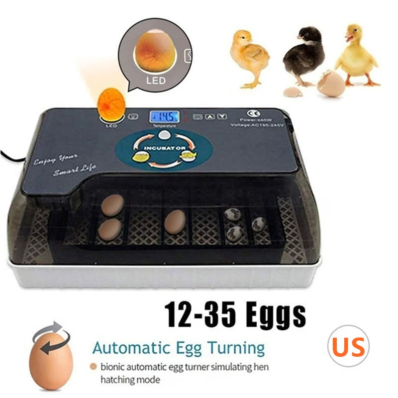 

12 Egg Automatic Incubator 110V/220V Mini Brooder Machine Chicken Egg Tray Incubator Household Incubation Farm Equipment