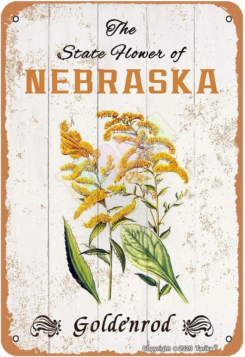 Stte Flower of Nebrsk Goldenrod для комнаты спальни Grden Club Shop Shoe Metl Vntge Tn Sgn Wll Decoon 12x8 nches