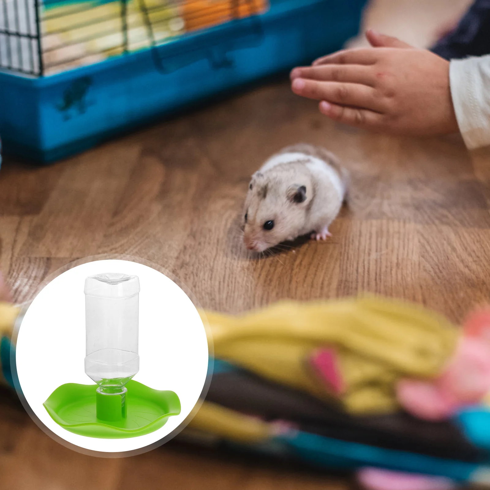 

Water Feeder Dispenser Reptile Bowl Pet Fountain Tank Accessories Lizard Tortoise Cat Bearded Dragon Automatic Gecko Dog