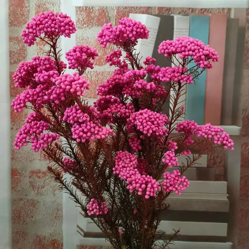 

50g atural Millet Fruit Dried Flower Christmas Decorations For Home 2022 Artificial Plants For Large Decoration Bridal Wedding