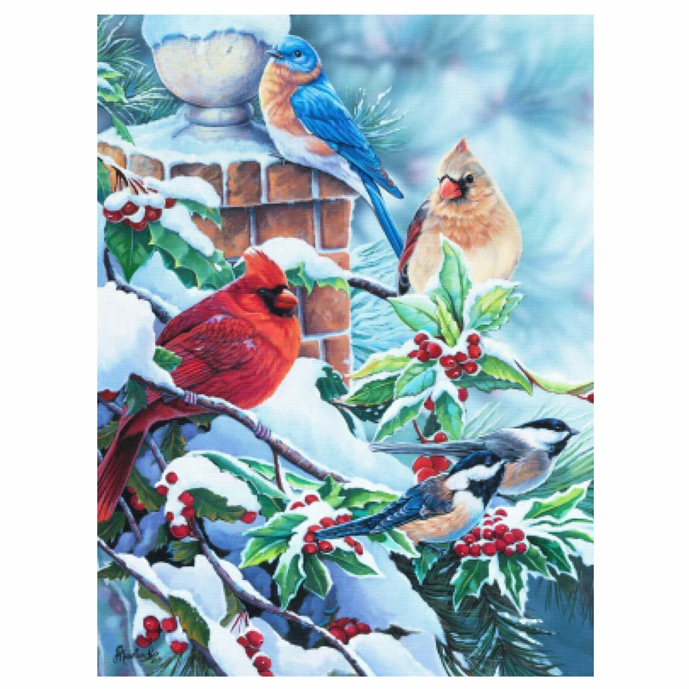 

New Diamond Painting Snow Scenery Red Fruit Bird DIY Production Inlaid Embroidery Painting Decoration Home Crafts