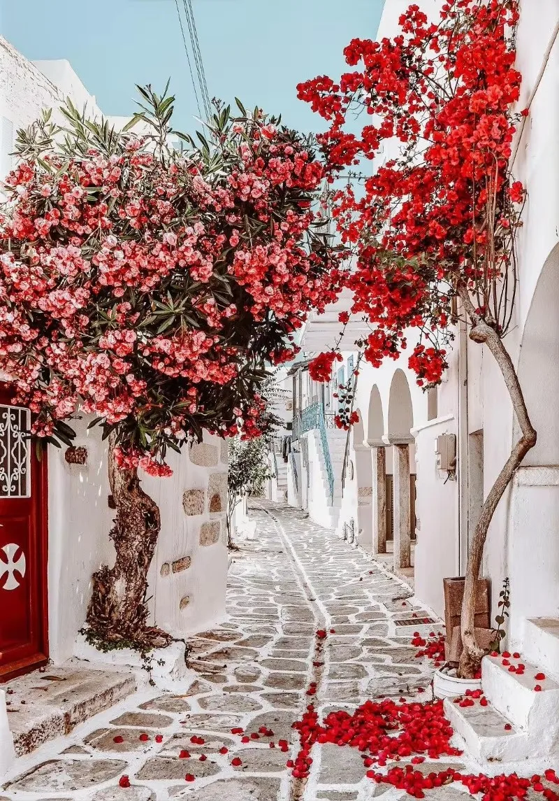 

Настенная живопись на холсте "Классическая Итальянская Архитектура"