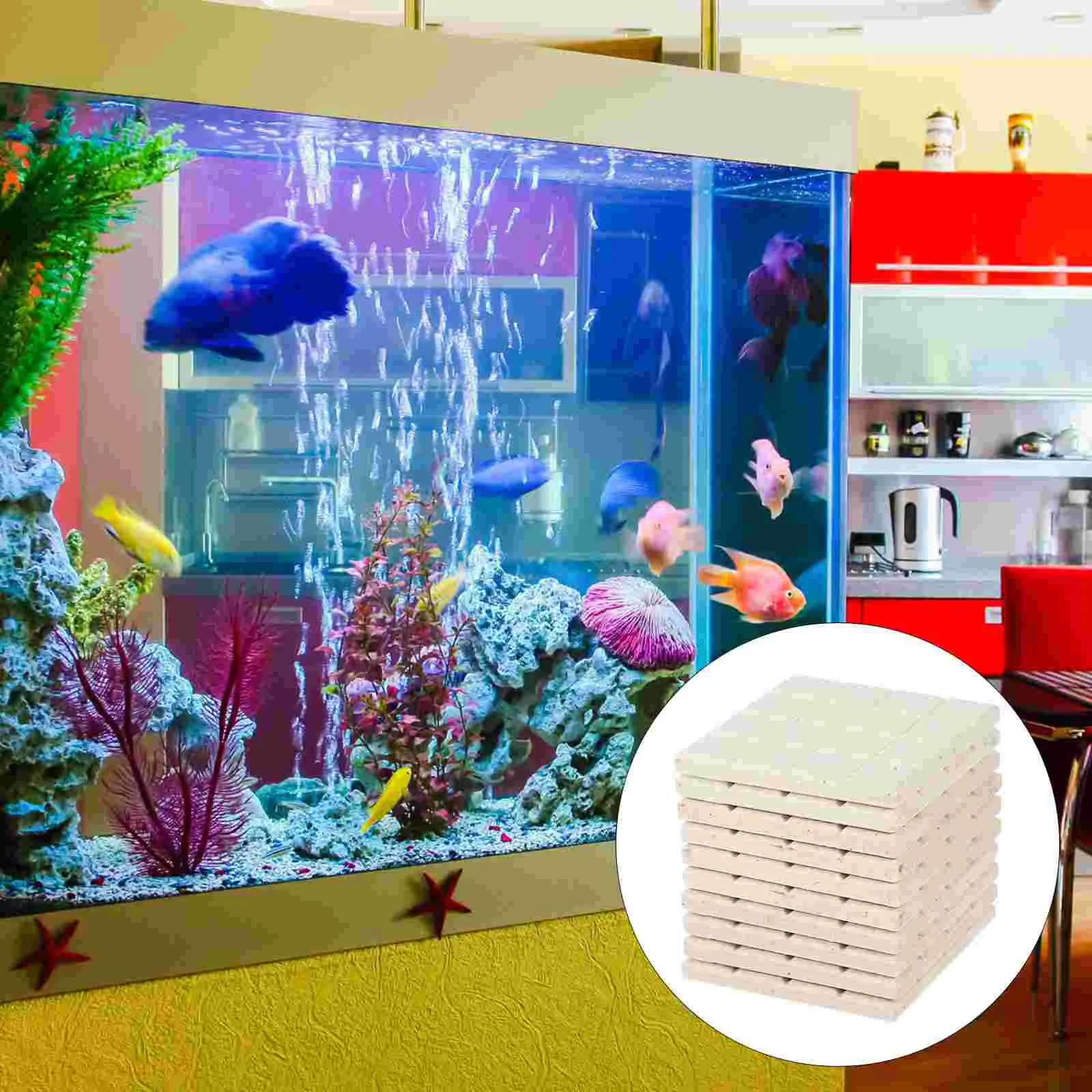

10 PCS Coral Fragment Base Magnetic Coralline Accessories Aquarium Breeding Bases Holder Ceramics Fish Tank Supplies Reef