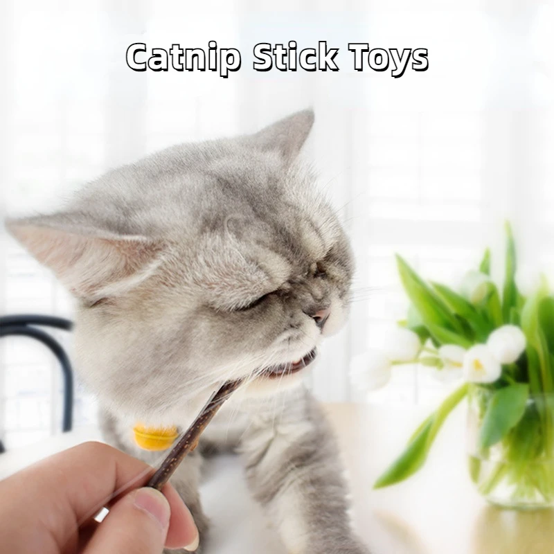 

Natural Catnip Pet Cat Molar Toothpaste Stick Cat Toy Actinidia Fruit Silvervine Cat Snacks Sticks Pet Cleaning Teeth Dropship