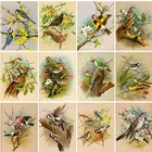 RUOPOTY DIY картины по номерам наборы С Рисунком Птиц домашний Декор Картина по номерам животные рисунок на холсте Ручная роспись искусство подарок