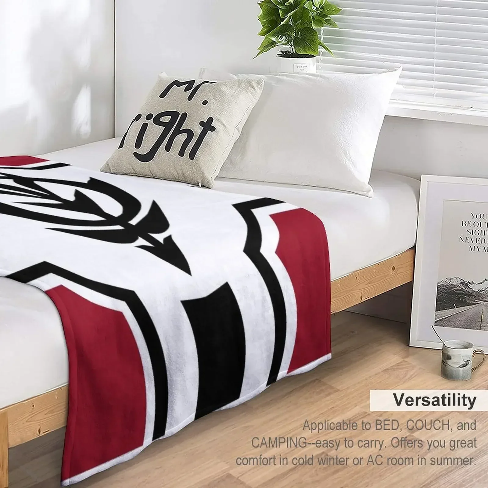 ZEON пледы для дивана тонкие плюшевые тяжелые одеяла