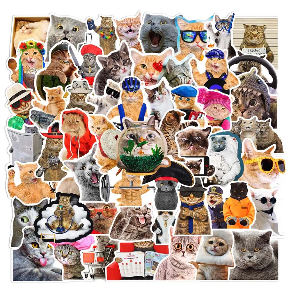 

10/66Pcs Funny Cute Cat Varied Sticker Pack for Kids Scrapbooking Travel Luggage Helmet Wall Decoration Graffiti Sticker Decals