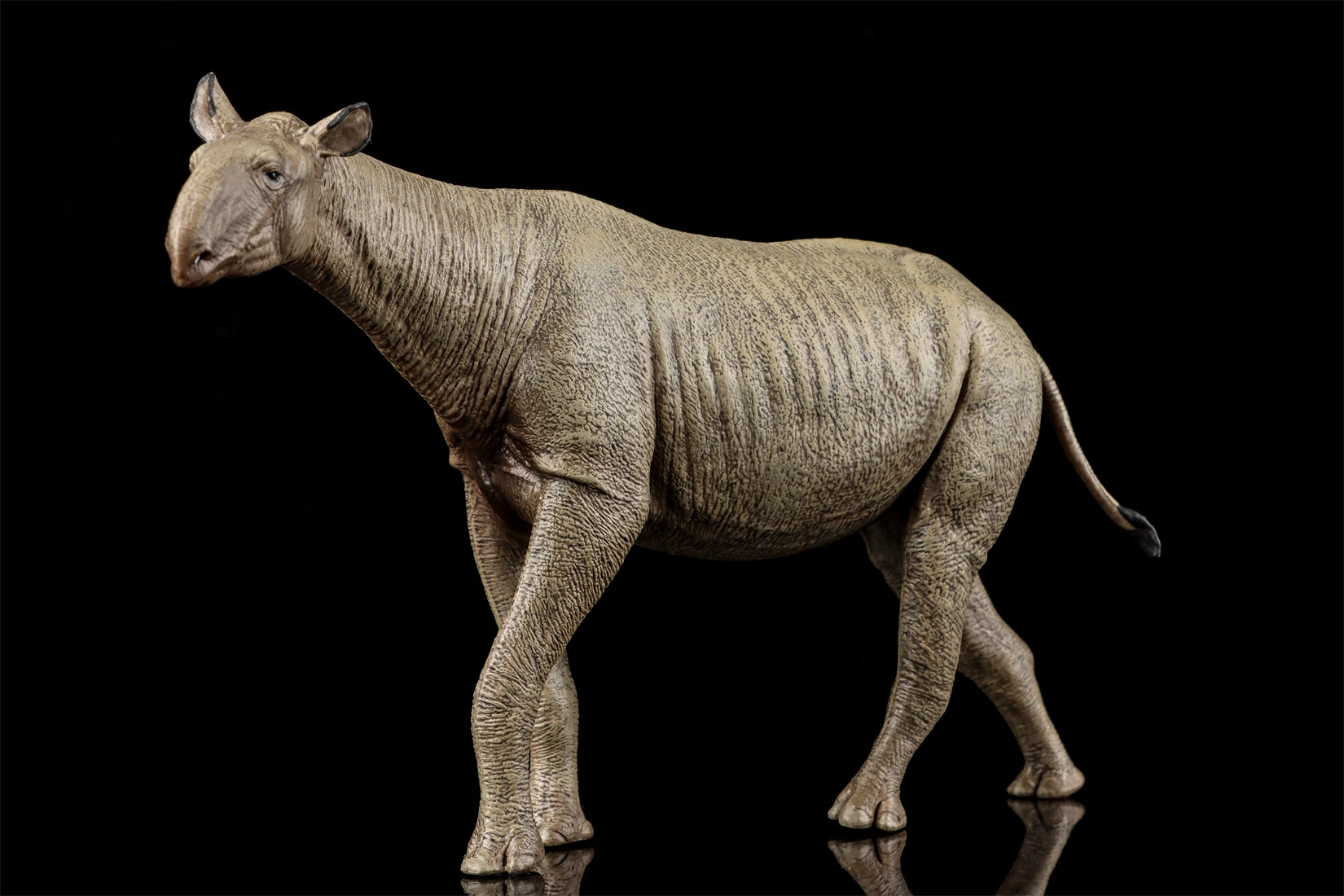 Фото Фигурка Eofauna Paraceratherium Grangeri в масштабе 1:35, из семейства Paraceratheriidae, гигантский прародинозавр, коллекционная модель для декорации сцен №3