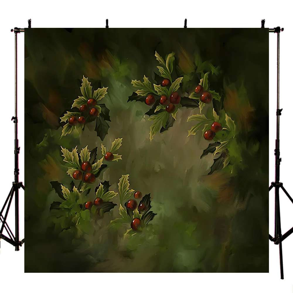 

Mehofond Christmas Background For Photography Painted Green Holly Red Berry Newborn Portrait Backdrop Photo Studio Photozone