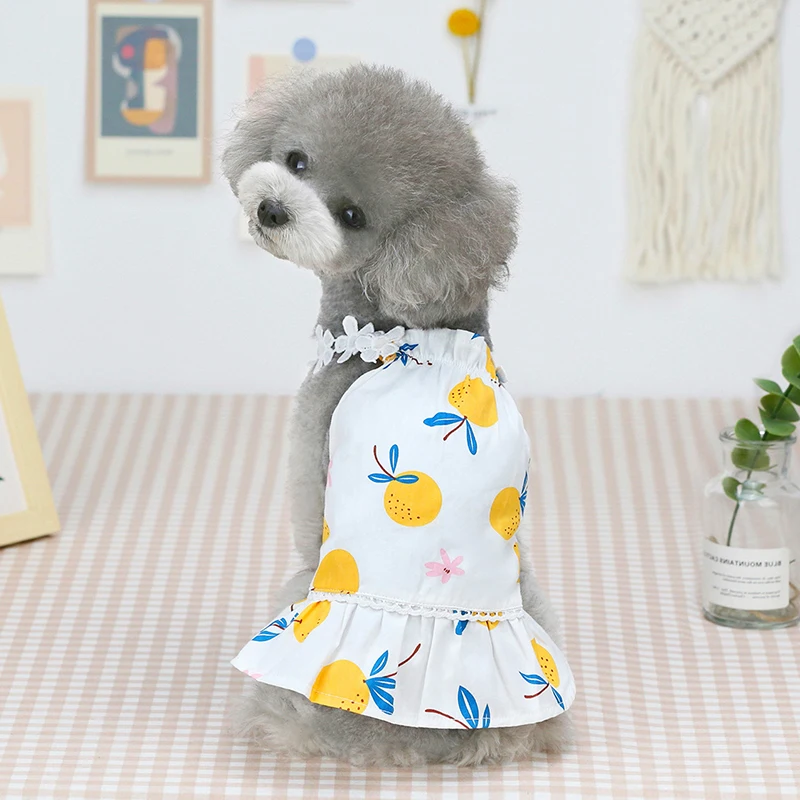 

2022 Dog Dress Spring Summer Print Pet Clothes Cute Cotton Dog Skirt Teddy Bichon Corgi Poodle Puppy Cat Dress Dog Costume