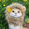 Cute Lion Mane Cat Wig Hat 4