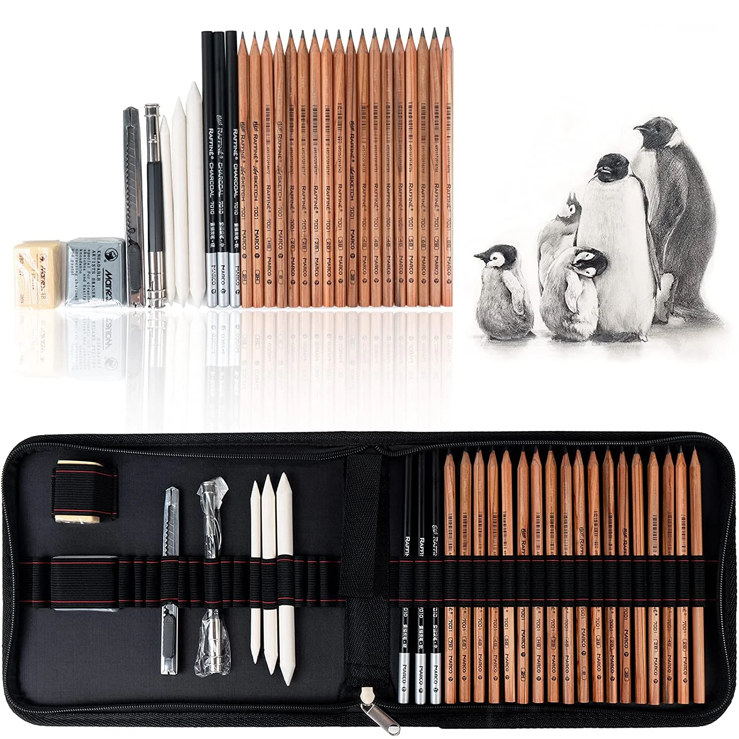 29 Pieces Professional Art Supplies Kit with Graphite Pencils Charcoal Pencils Paper Erasable Pen Craft Knife Zipper Carry Case