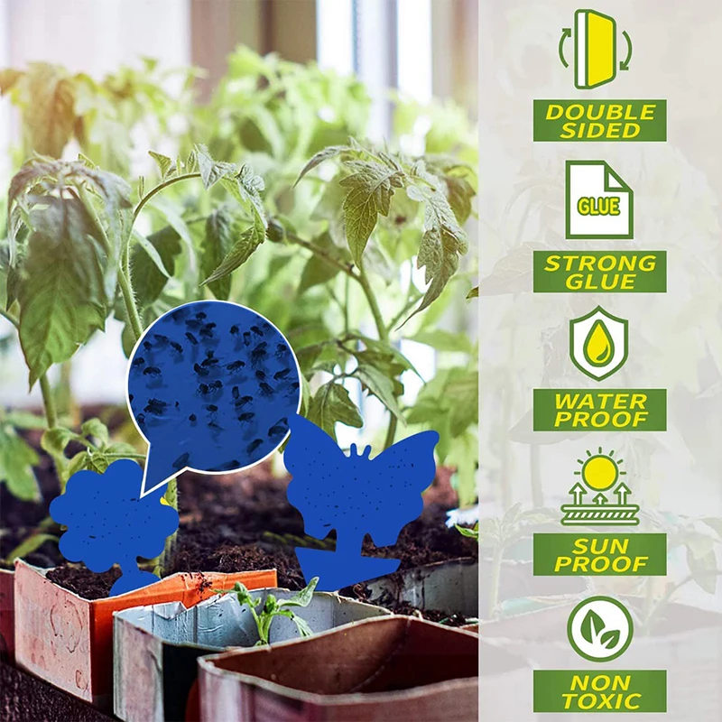 10 шт. клейкие ловушки для насекомых с клеем |