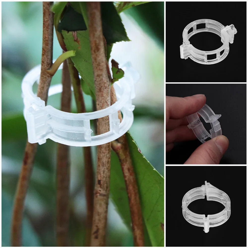 

50/100pcs Plastic Plant Clips Supports Connects Reusable Protection Grafting Fixing Tool Gardening Supplies for Vegetable Tomato
