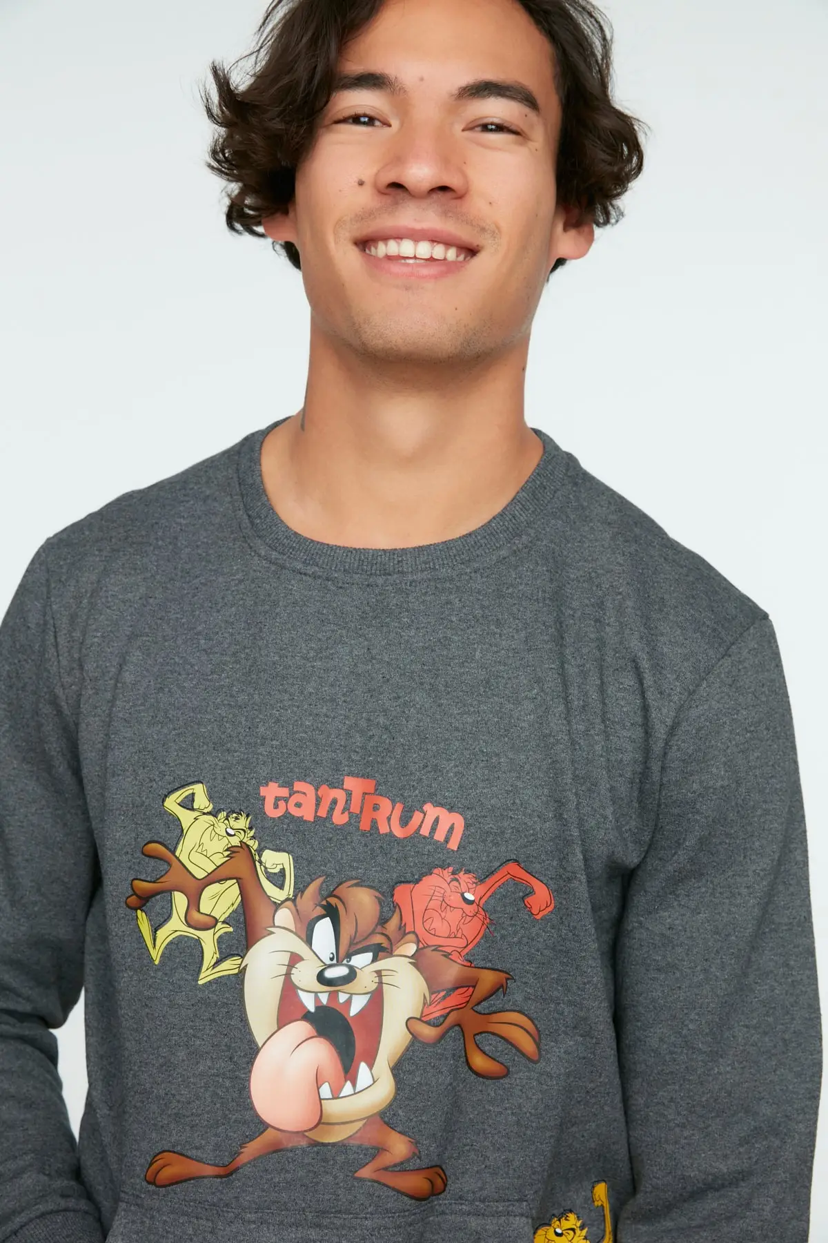 

Лицензионный Мужской свитшот Antnite с принтом Тасмании дьявола, Стандартный крой, TMNAW22SW0996