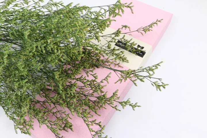 Натуральные сушеные цветы Лимония для декора