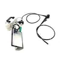 veterinary endoscopy portable usb video gastroscope and colonoscope