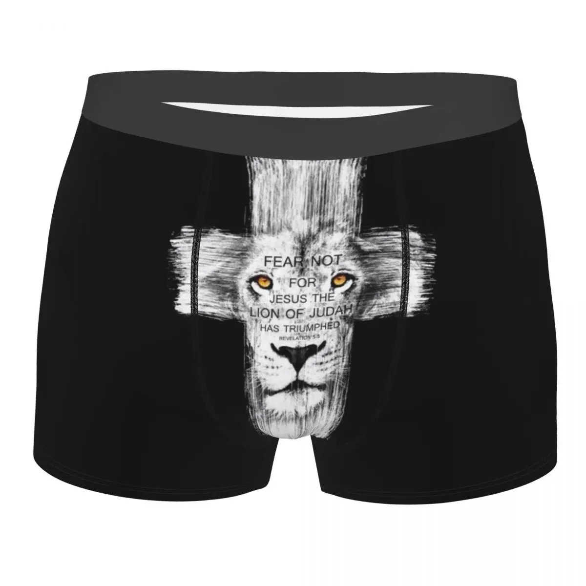 

Men Boxer Briefs Shorts Panties Cool Lion Of Judah Jesus Cross Lion Soft Underwear Male Hot Underpants